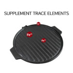 2X 30CM Round Cast Iron Korean BBQ Grill Plate with Handles and Drip Lip